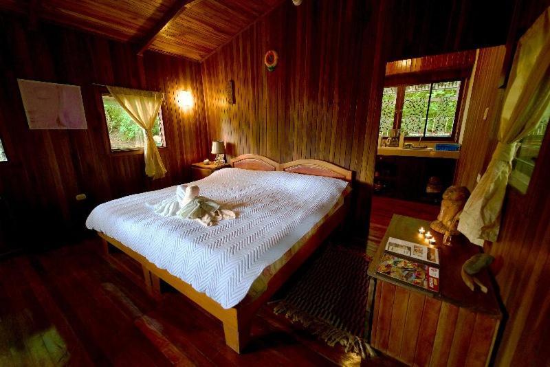 Lodge Mirador - Great Swimming Pool - Kitchen - Bbq - Netflix Tajo Alto Eksteriør billede