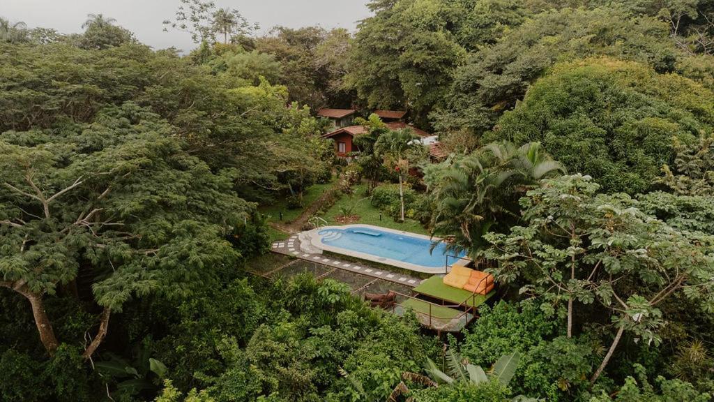 Lodge Mirador - Great Swimming Pool - Kitchen - Bbq - Netflix Tajo Alto Eksteriør billede