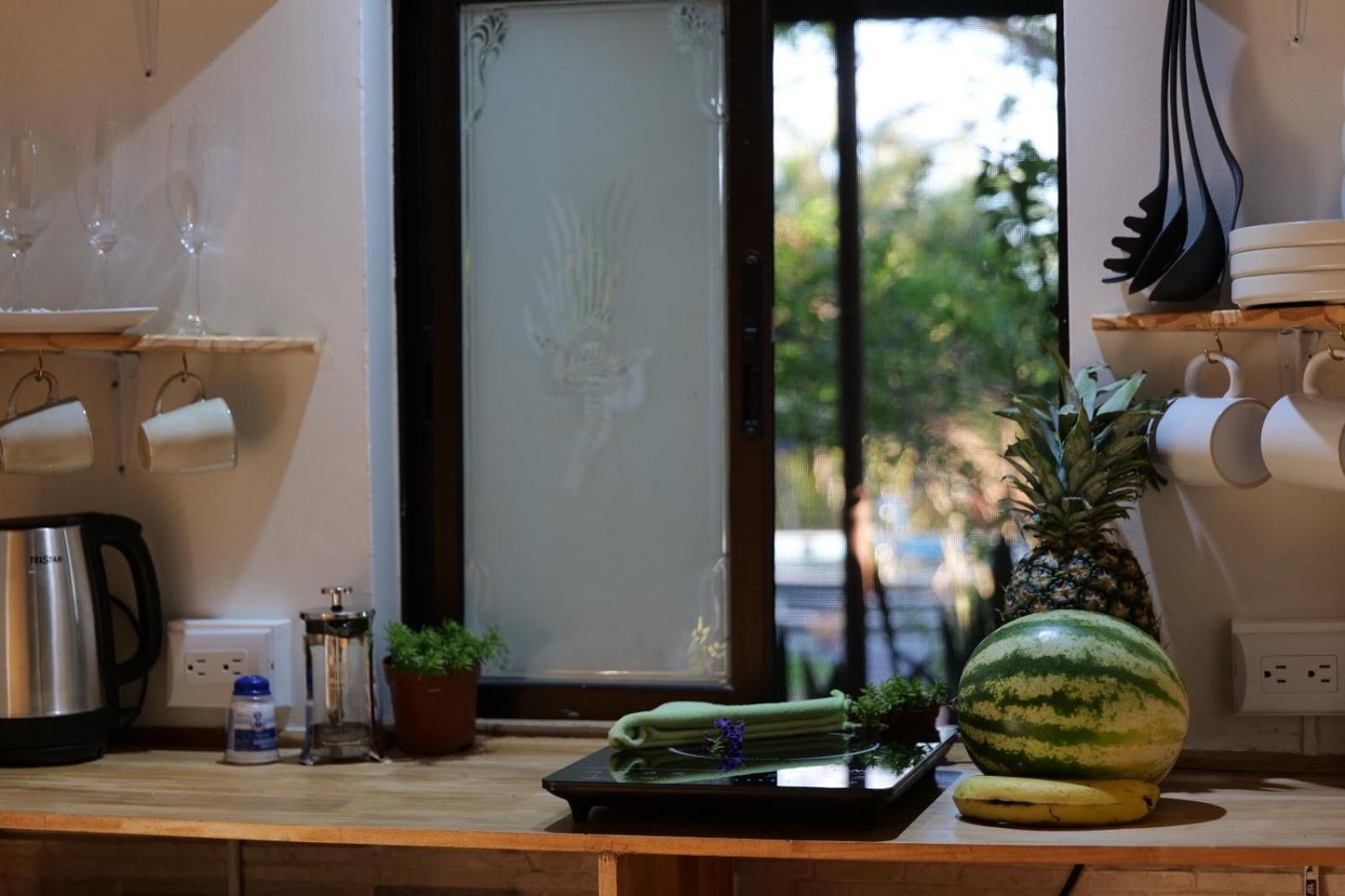 Lodge Mirador - Great Swimming Pool - Kitchen - Bbq - Netflix Tajo Alto Eksteriør billede