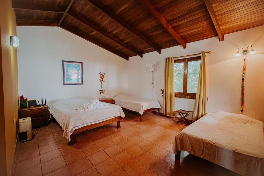 Lodge Mirador - Great Swimming Pool - Kitchen - Bbq - Netflix Tajo Alto Eksteriør billede