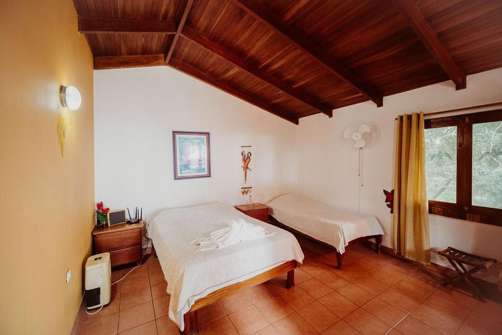 Lodge Mirador - Great Swimming Pool - Kitchen - Bbq - Netflix Tajo Alto Eksteriør billede