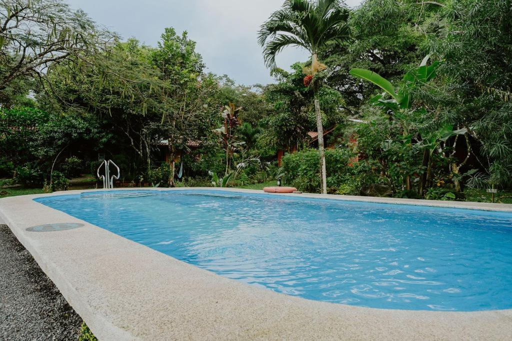 Lodge Mirador - Great Swimming Pool - Kitchen - Bbq - Netflix Tajo Alto Eksteriør billede