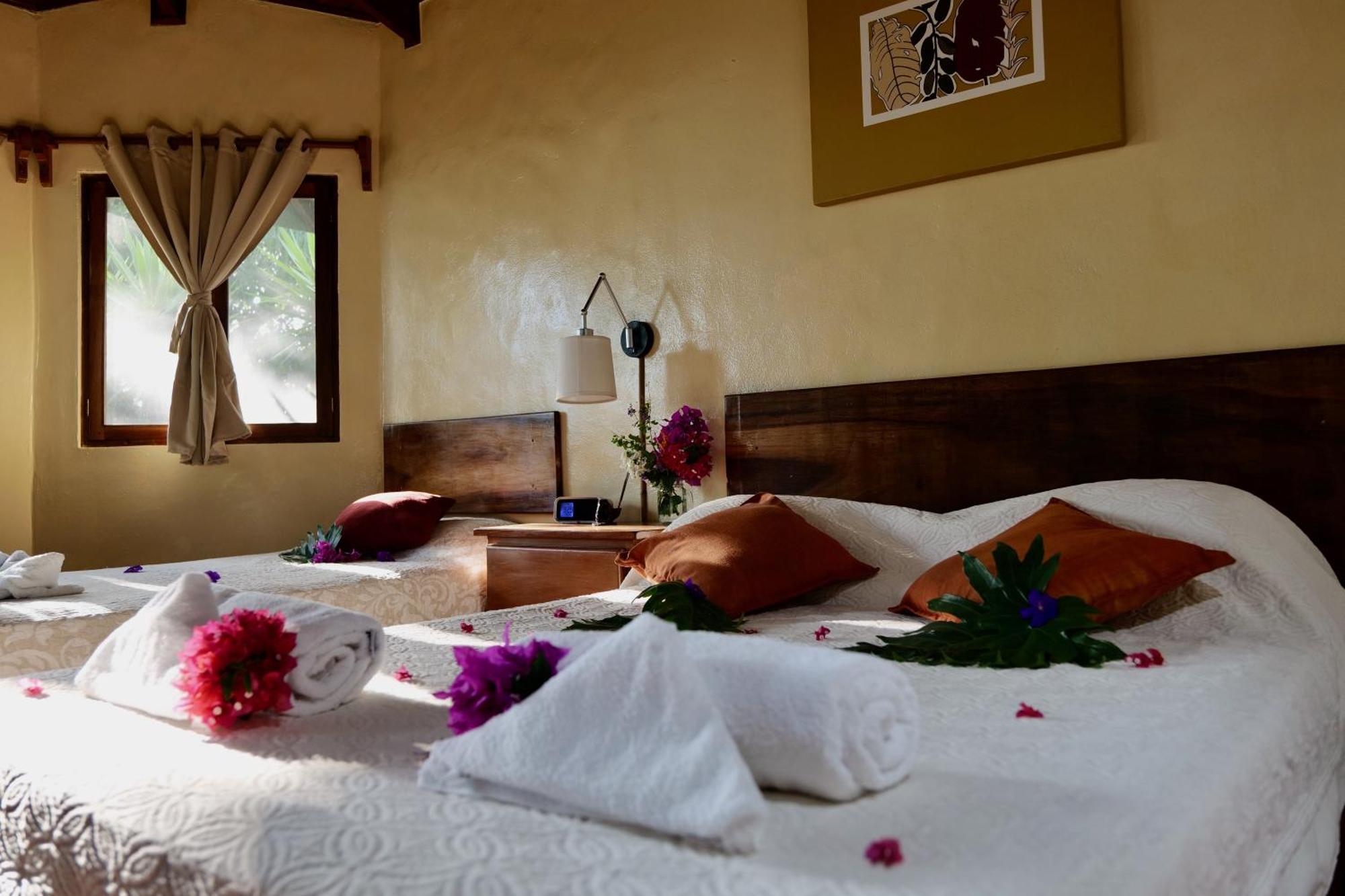 Lodge Mirador - Great Swimming Pool - Kitchen - Bbq - Netflix Tajo Alto Eksteriør billede