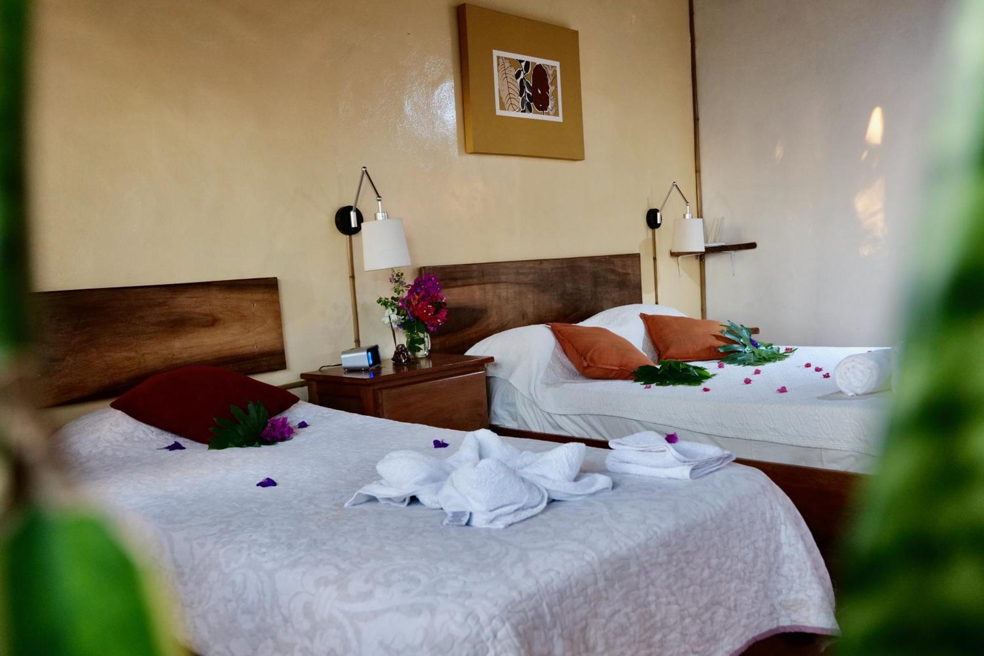 Lodge Mirador - Great Swimming Pool - Kitchen - Bbq - Netflix Tajo Alto Eksteriør billede